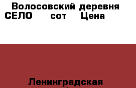 Волосовский деревня СЕЛО  25 сот. › Цена ­ 850 000 - Ленинградская обл. Недвижимость » Земельные участки продажа   . Ленинградская обл.